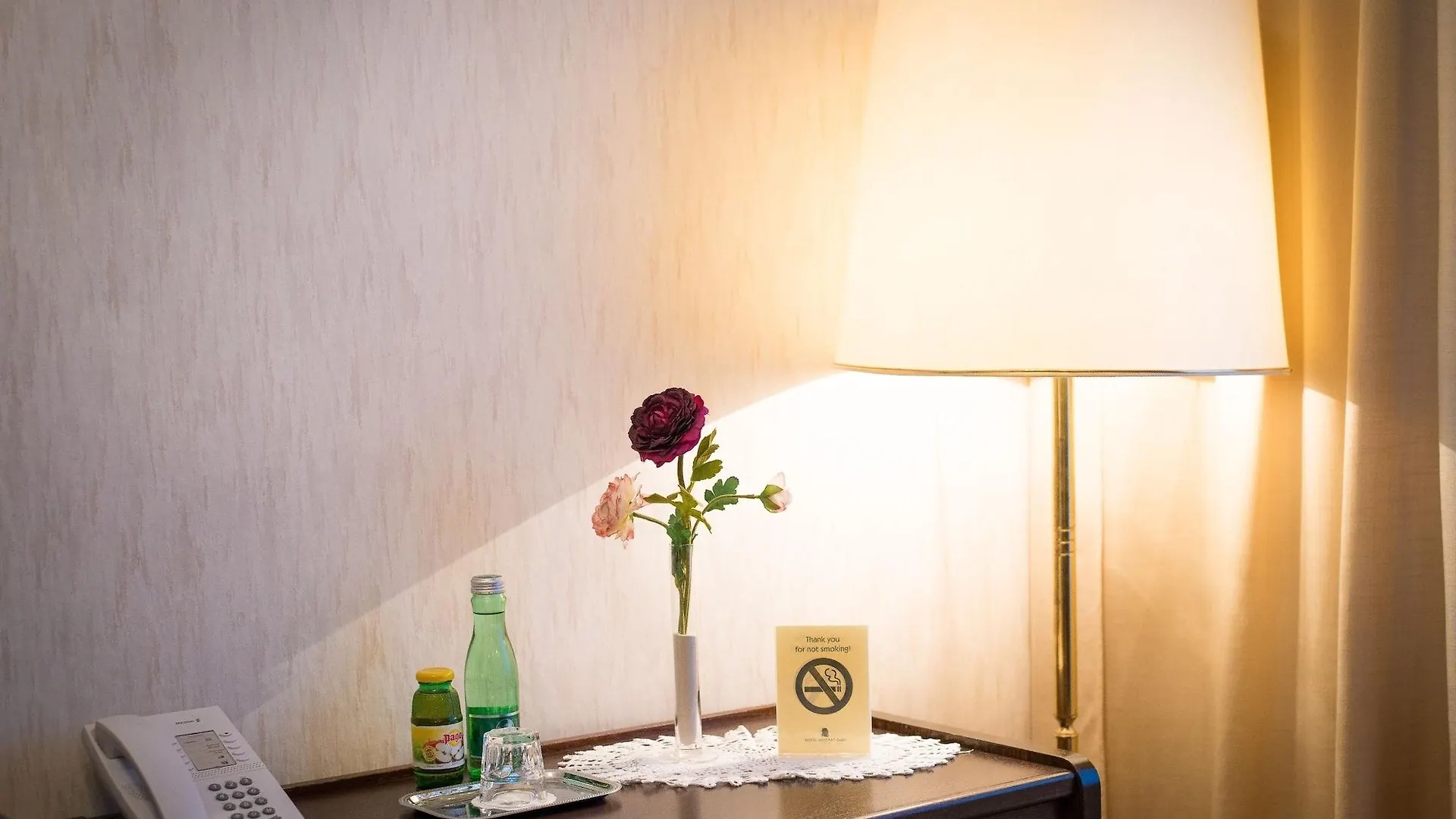 Hotel Mozart Viyana