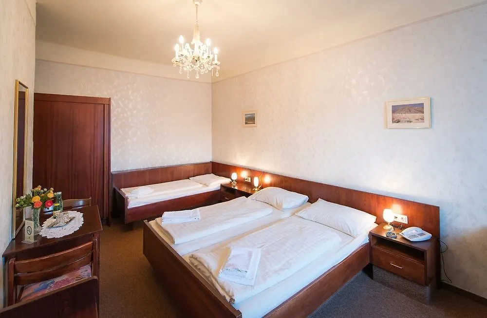 Hotel Mozart Viena 3*,